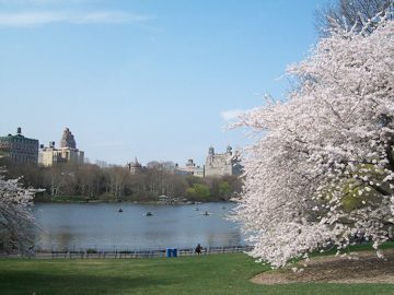 100_0491.jpg