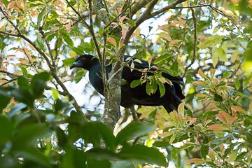 IMG_8658