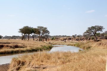 P-IMG_6374-2