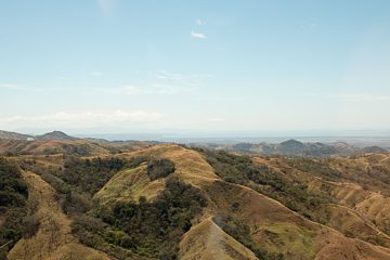 IMG_8652