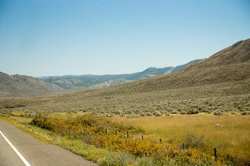 IMG_9865
