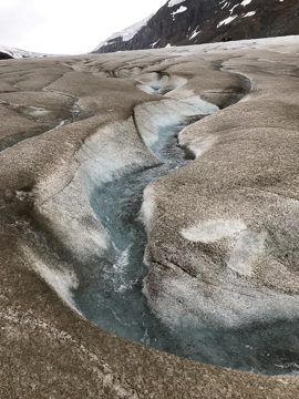 IMG_3313