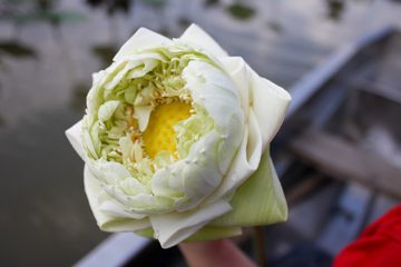 IMG_0283.jpg