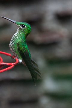 25022012-75.jpg