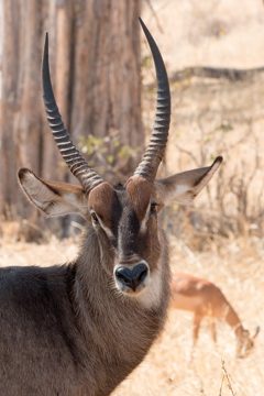 IMG_6150