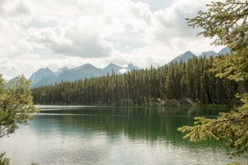 IMG_0260