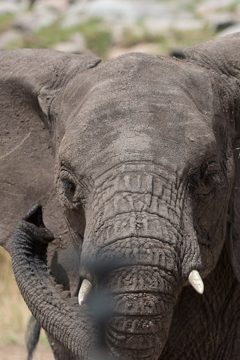 IMG_7416