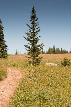 IMG_9906