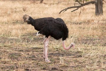 IMG_7180