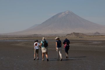 IMG_6935