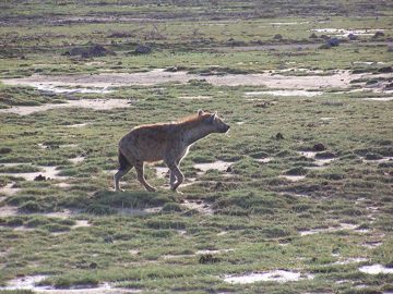 100_1204.jpg