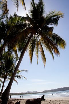 29022012-52.jpg