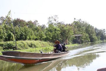 IMG_0195.jpg
