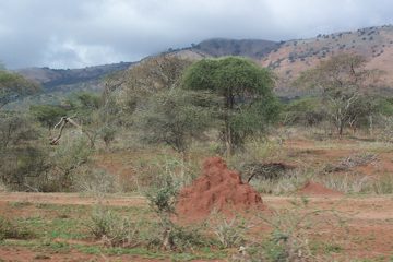 100_1104.jpg