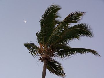 100_2748.jpg