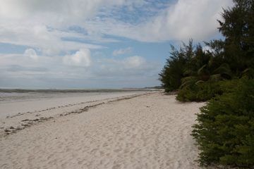 IMG_7870
