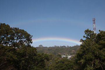 IMG_8728