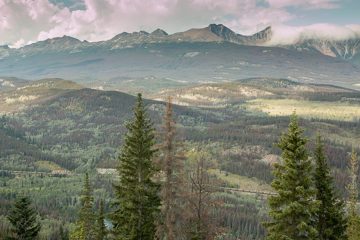 IMG_9982