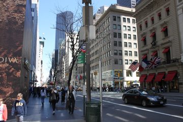 IMG_1381.jpg