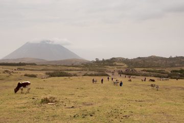IMG_6621