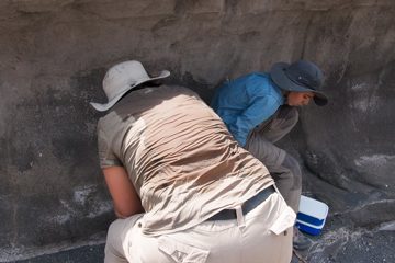 IMG_6778