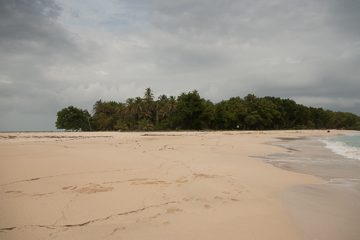 IMG_5563