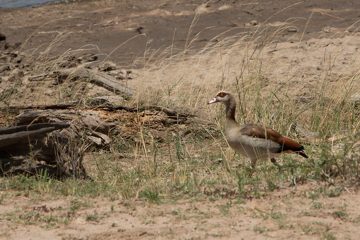 IMG_7651