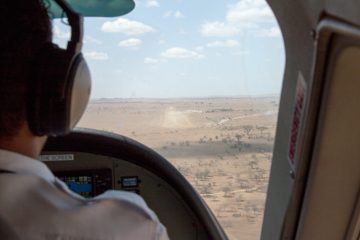 P-IMG_7043-2
