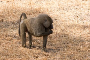 IMG_6028