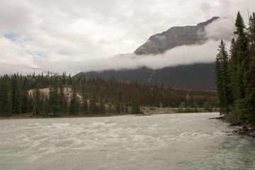 IMG_0115