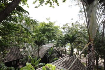 IMG_0678.jpg