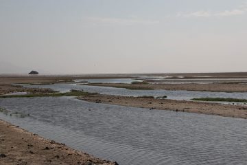 IMG_6955