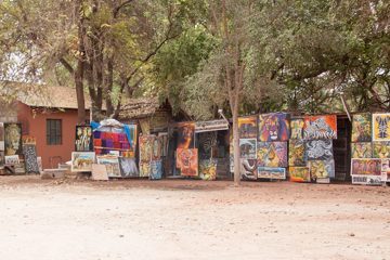 P-IMG_6394-2