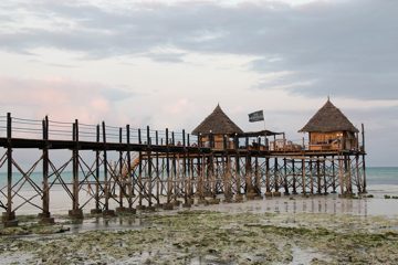 IMG_7813