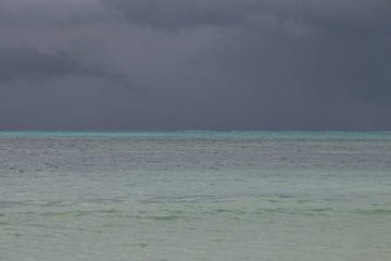 IMG_7927