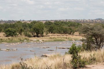 IMG_7618