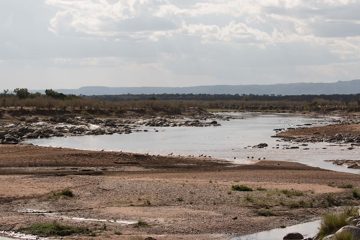 IMG_7494
