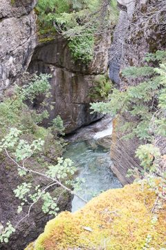 IMG_0013