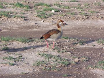 100_1217.jpg