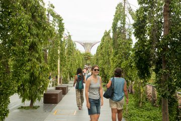 IMG_9745