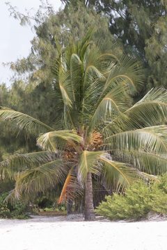IMG_7853