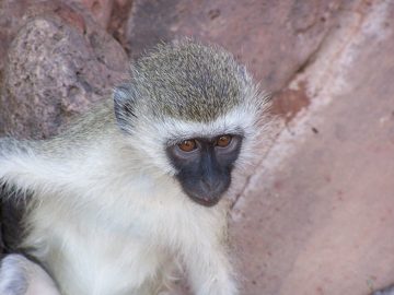 100_1337.jpg