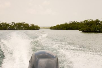 IMG_5323