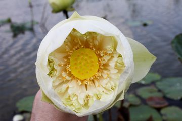 IMG_0280.jpg