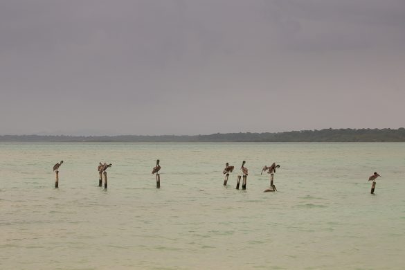 IMG_5447