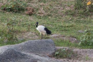 IMG_7741