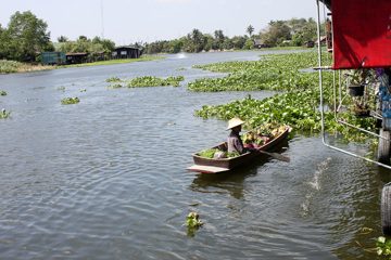 IMG_0317.jpg