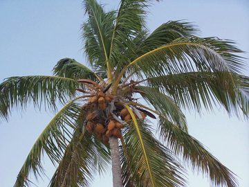 100_2756.jpg