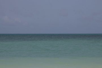 IMG_7852