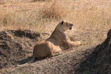 IMG_6187